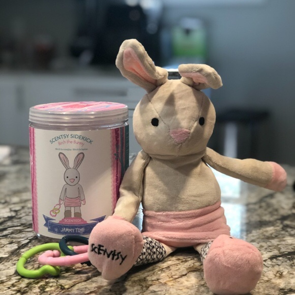 Scentsy sidekick